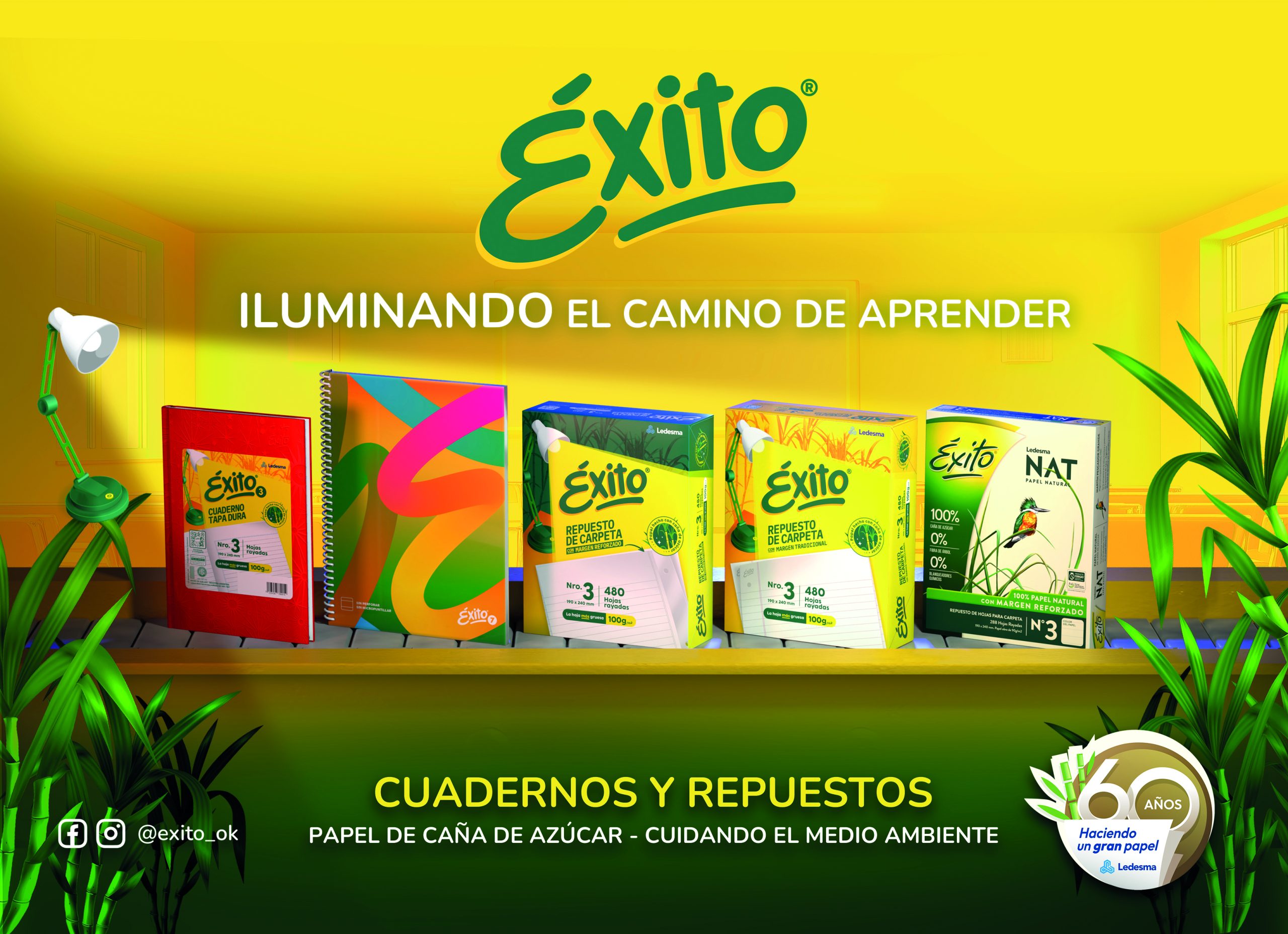 ÉXITO – «EL CAMINO DE APRENDER»